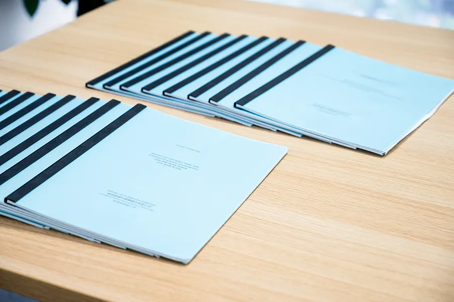 Annual audit support image